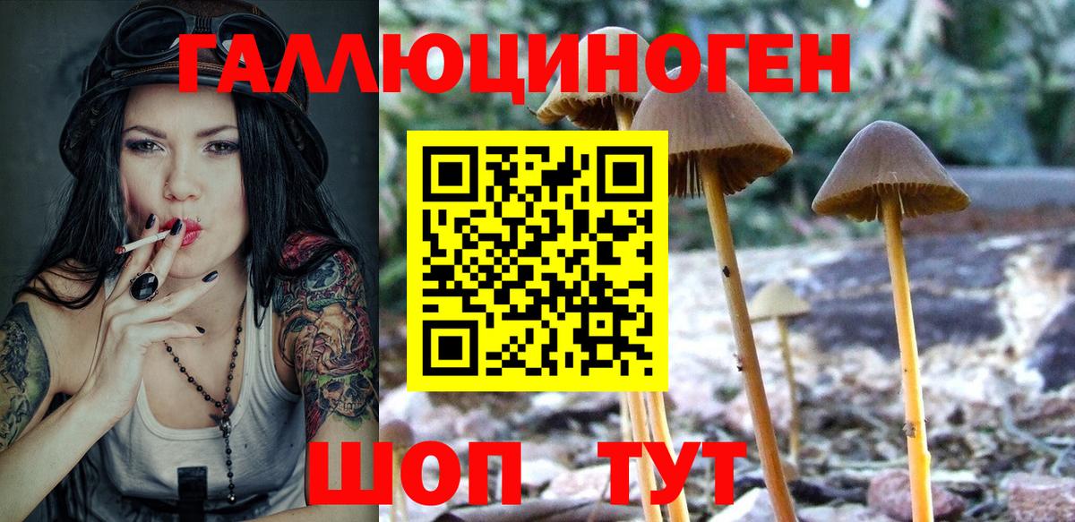 Чайковский  Галлюциногенные грибы мухоморы  Вход с VPN  Псилоцибиновые грибы Psilocybine cubensis 